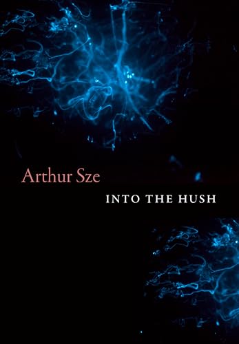 Into the Hush