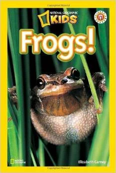 National Geographic Kids Chapters Readers Levels 1: Ponies, Polar Bears, Frogs, Meerkats, Dinosaurs; Lvl 2: Penguins, Weird Sea Creatures, Snakes, Sharks, Dolphins