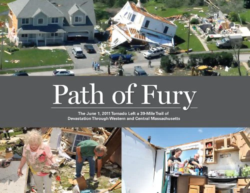 Path of Fury