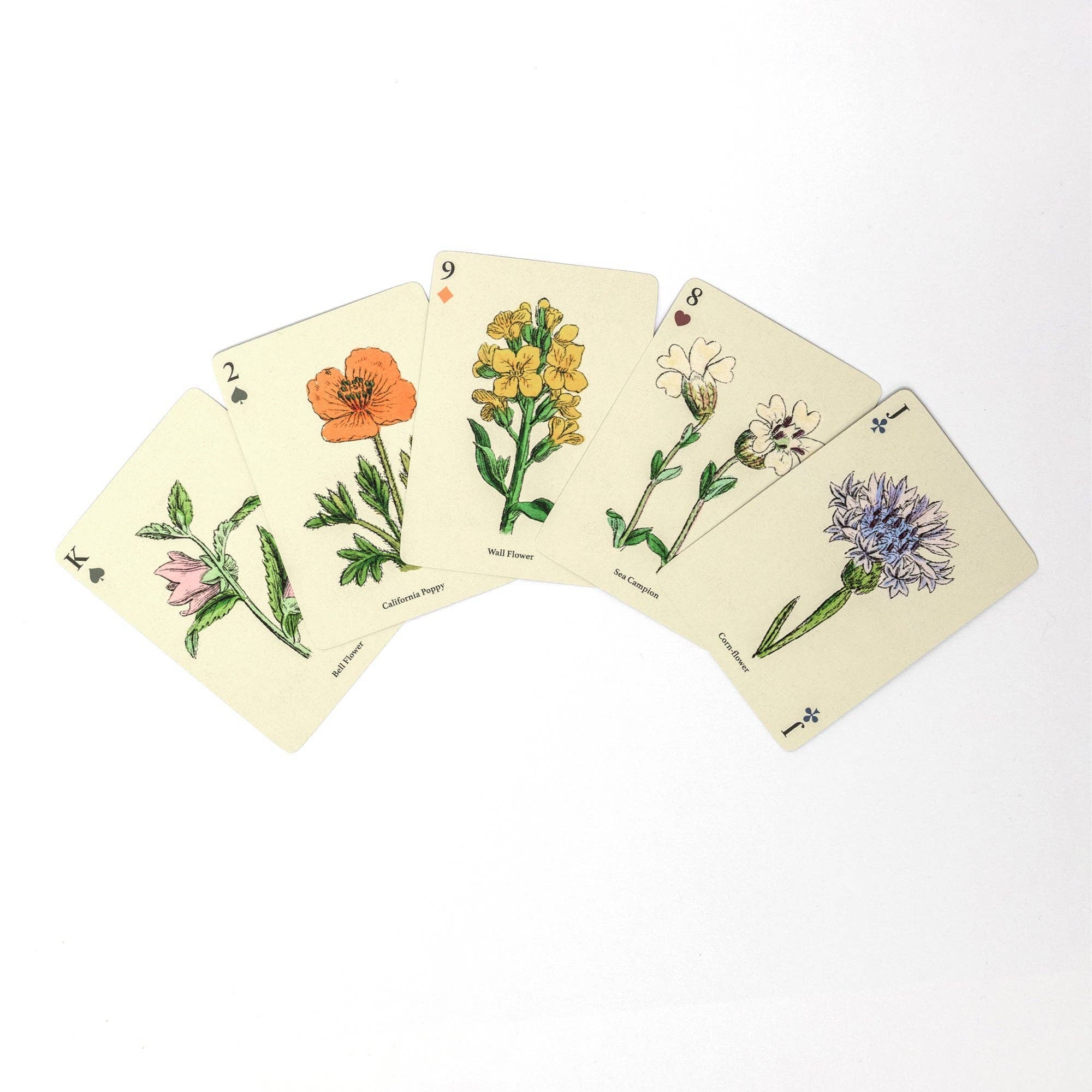 Roomytown Inc: Wildflowers Single Playing Card Deck - Image 2