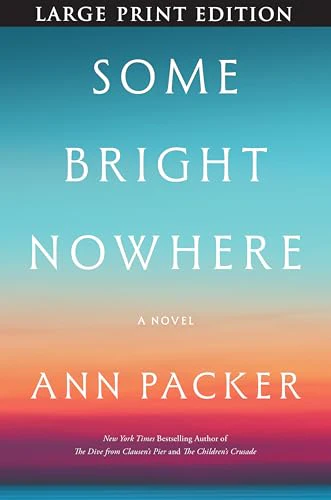 Some Bright Nowhere: A Novel