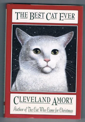 The Best Cat Ever