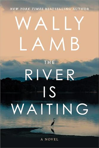 The River Is Waiting: A Novel