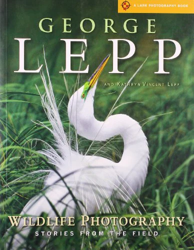 Wildlife Photography: Stories from the Field